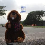 Vorbereitung aufs Bundeslager: in Israel